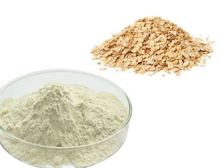 wholesale oat protein powder.png